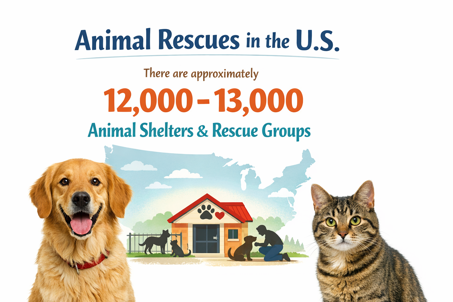How Many Animal Rescues Are There in the US?